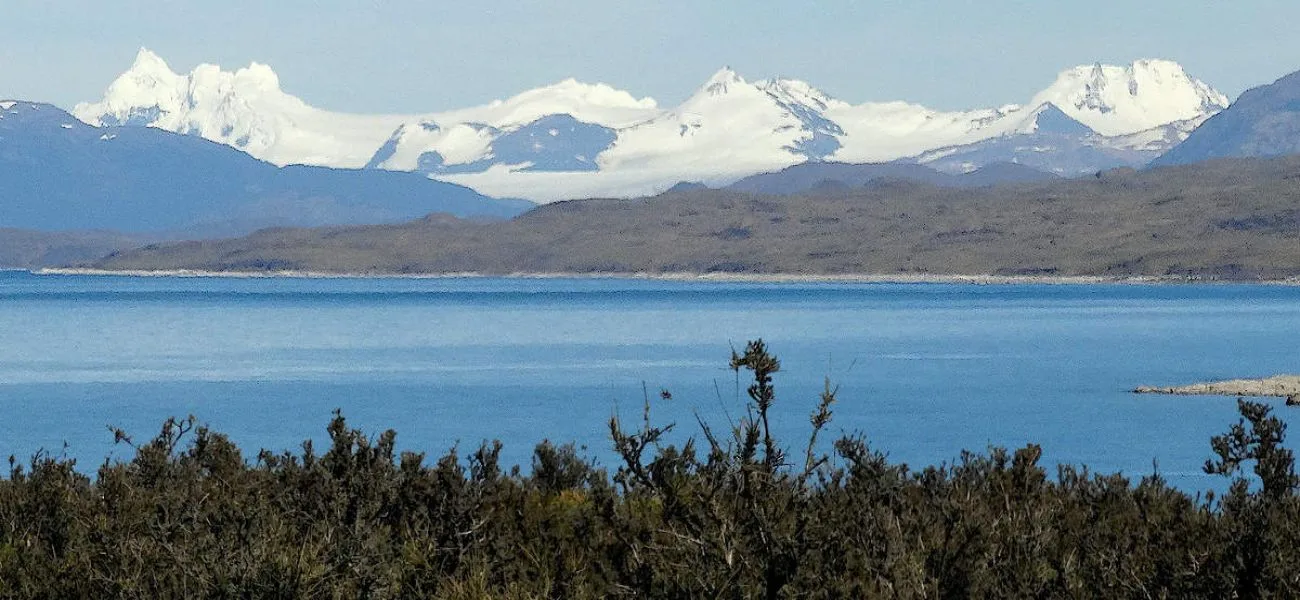 CALAFATE — 005