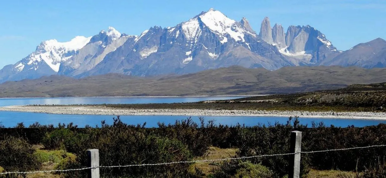 CALAFATE — 006