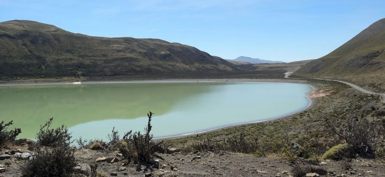 CALAFATE — 009