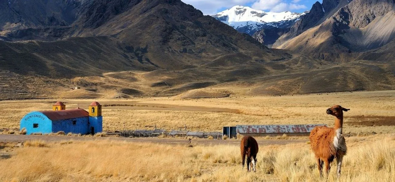 CALAFATE — 013a