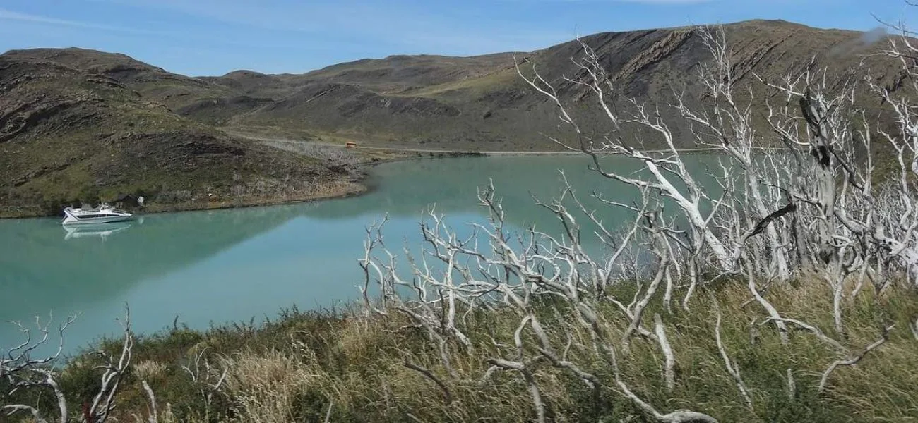 CALAFATE — 018