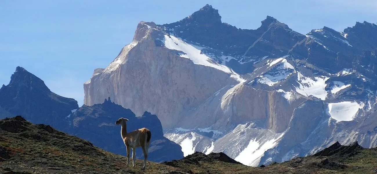 CALAFATE — 030