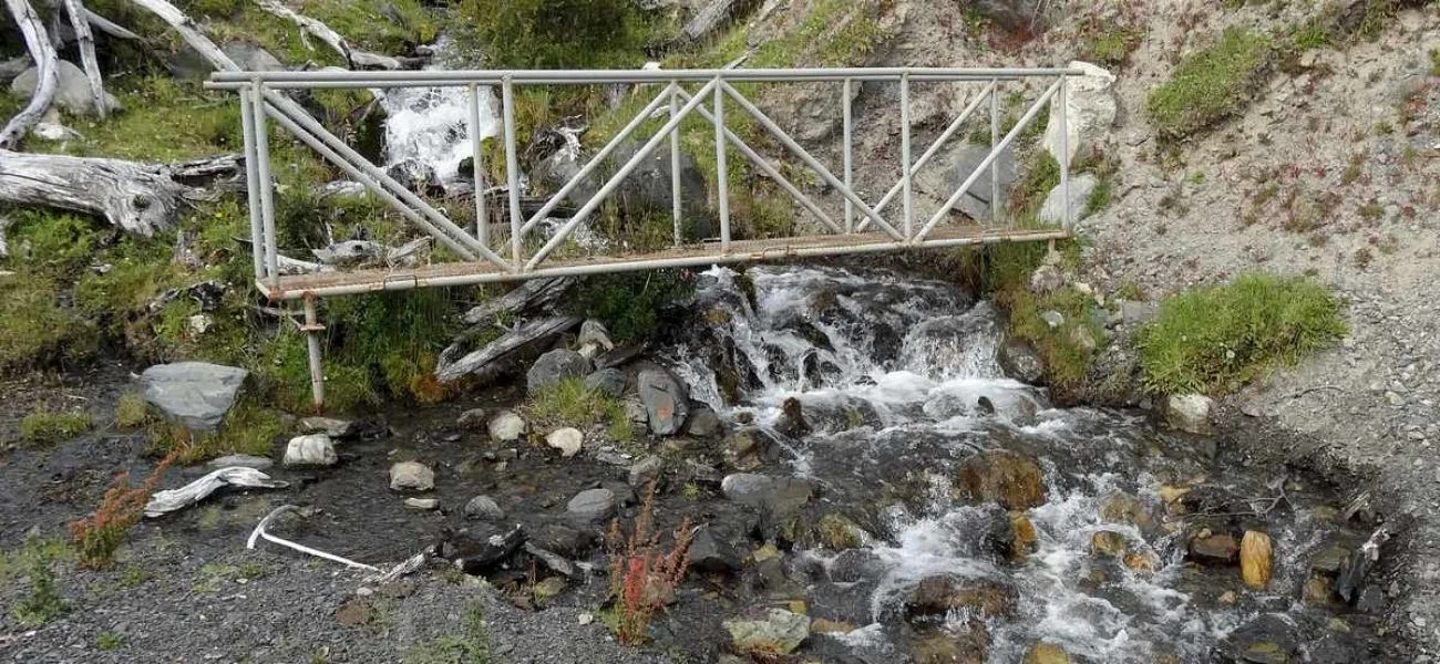 CALAFATE — 049