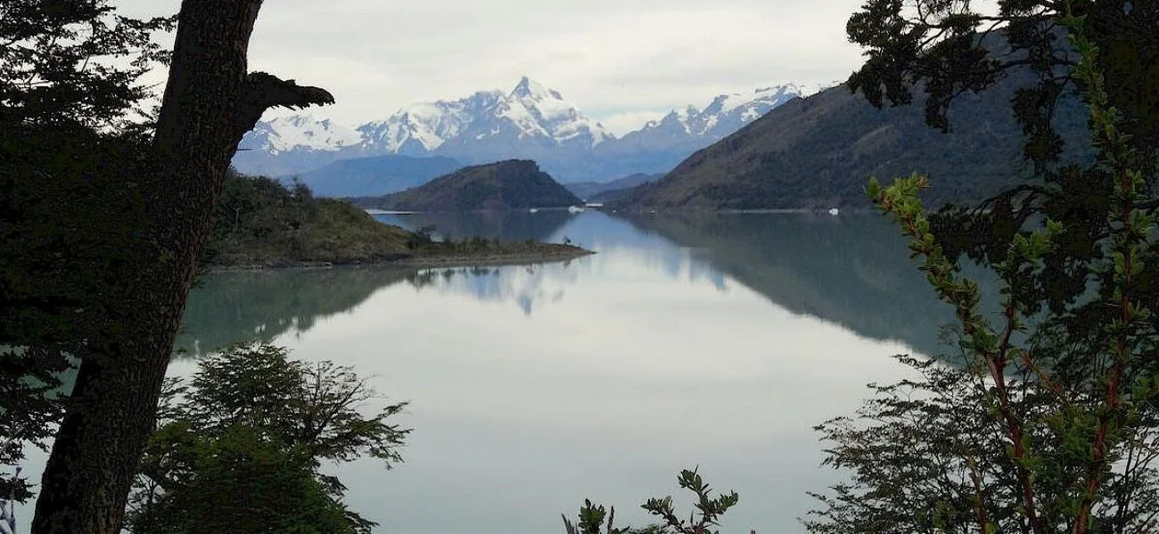 CALAFATE — 056