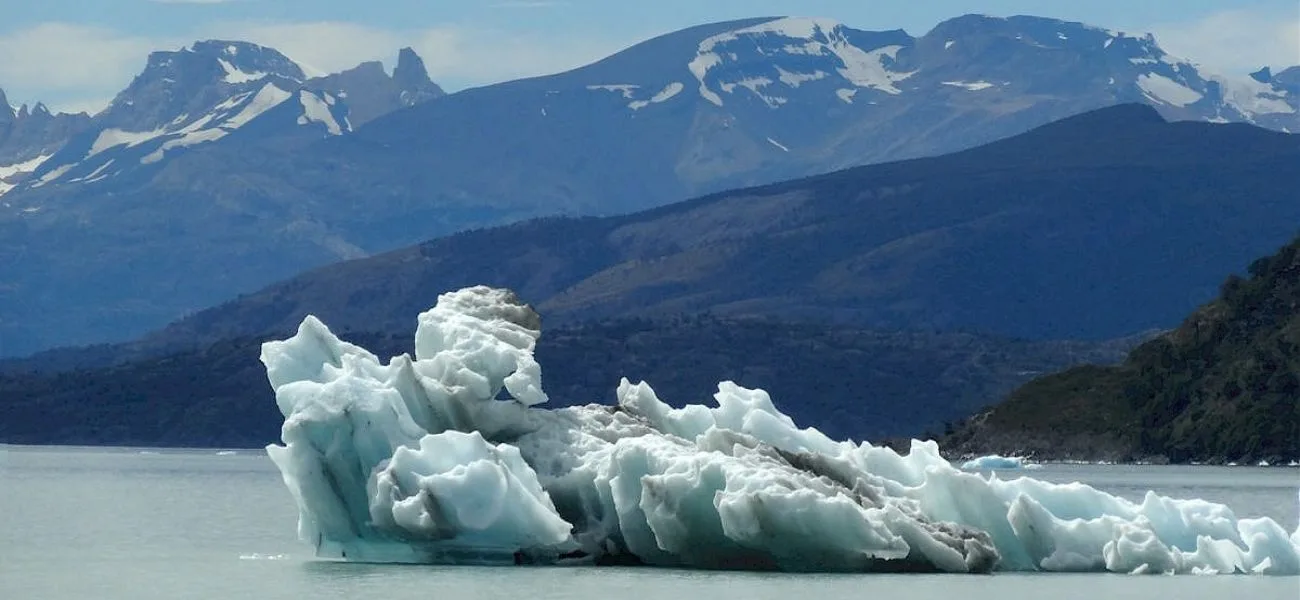 CALAFATE — 079