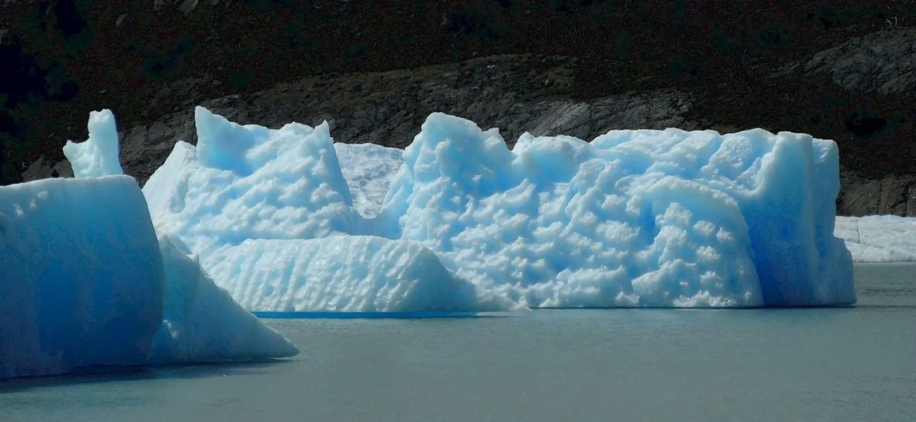 CALAFATE — 082