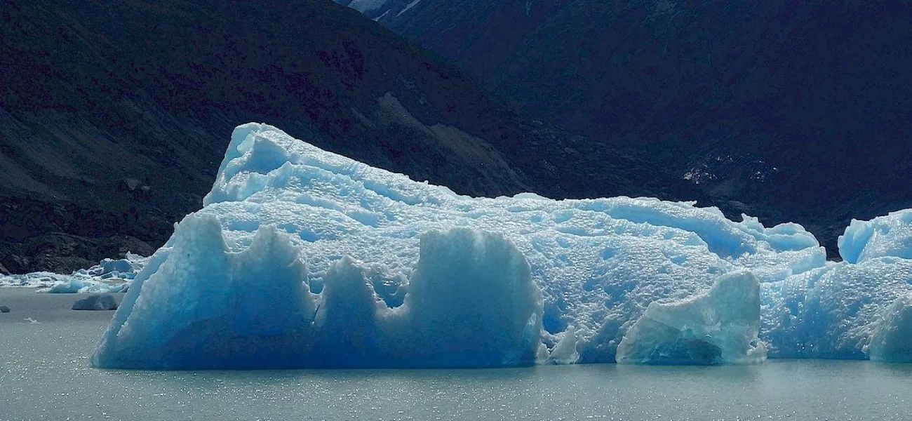 CALAFATE — 084