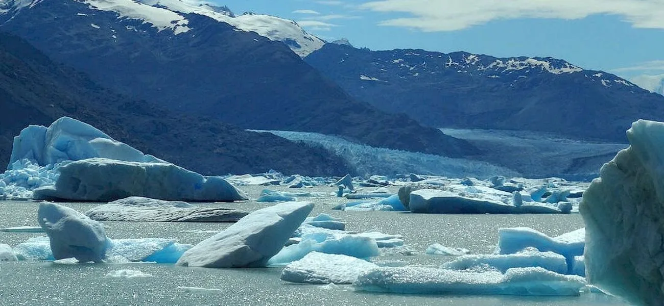 CALAFATE — 086