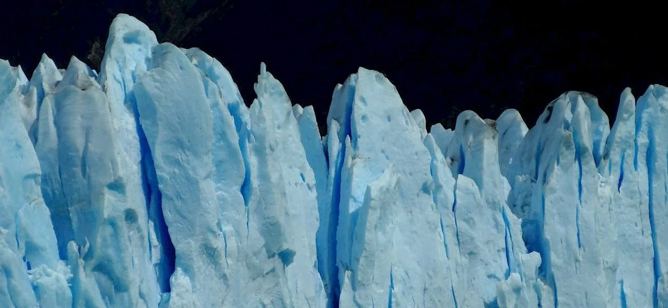 CALAFATE — 101