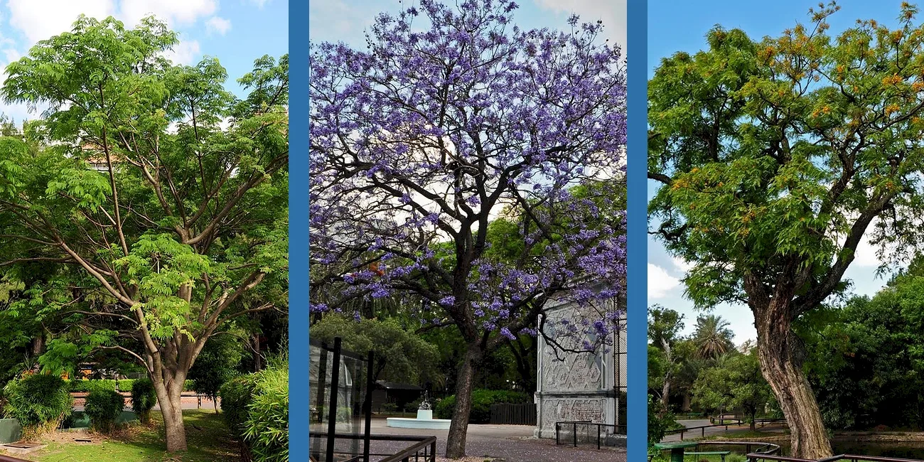 ECOPARQUE — 009