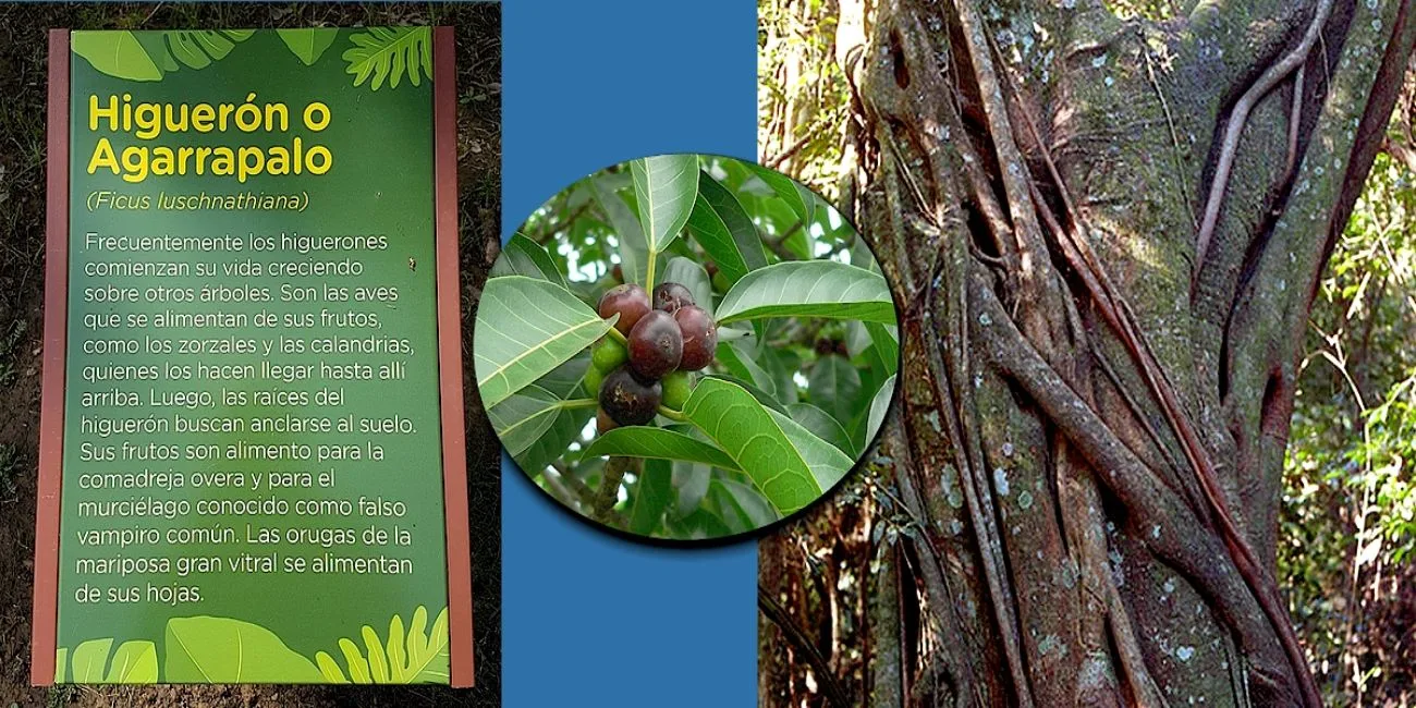 ECOPARQUE — 010