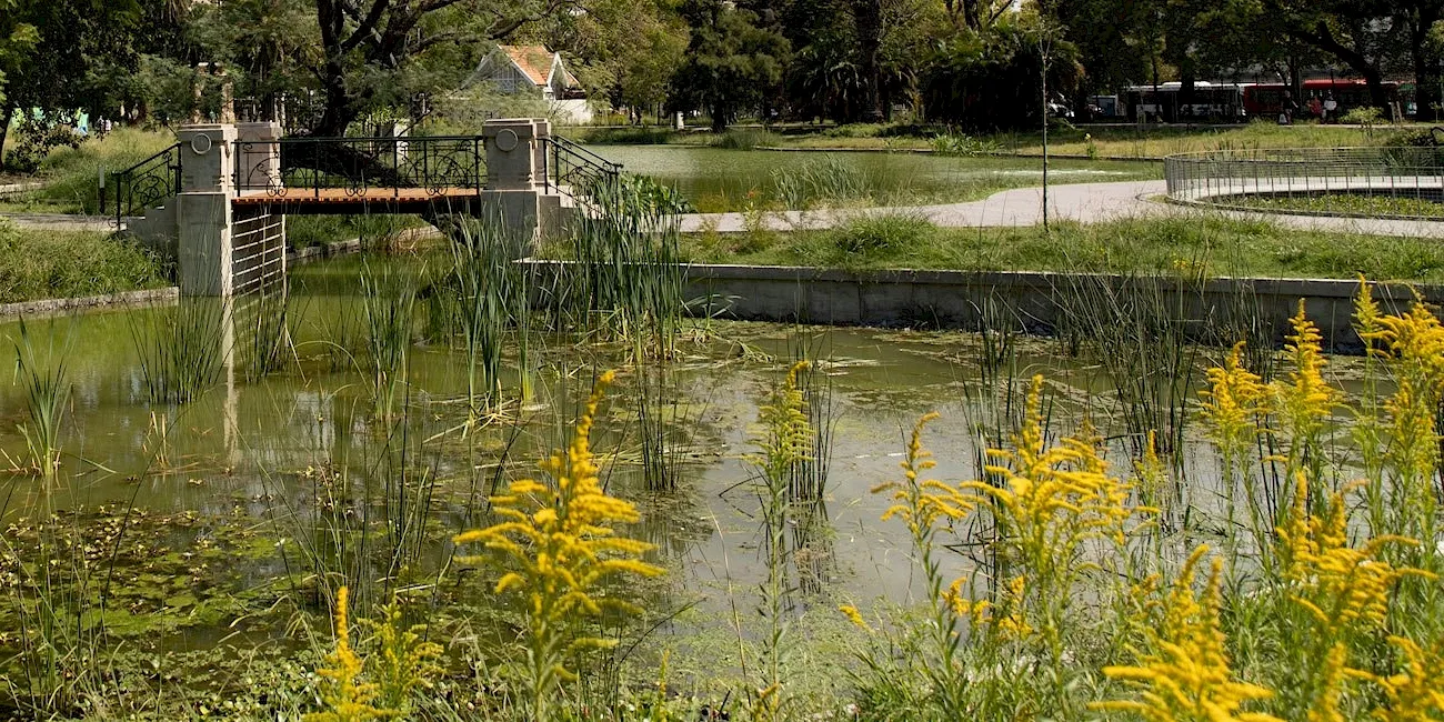ECOPARQUE — 011