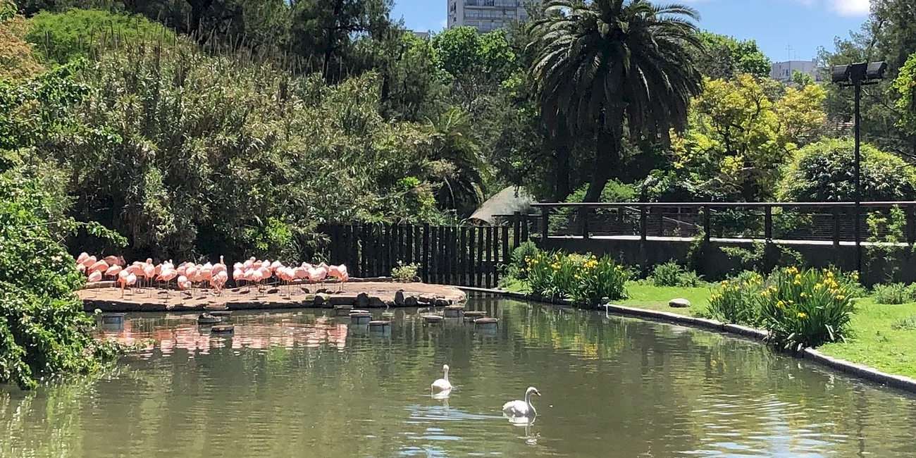 ECOPARQUE — 027