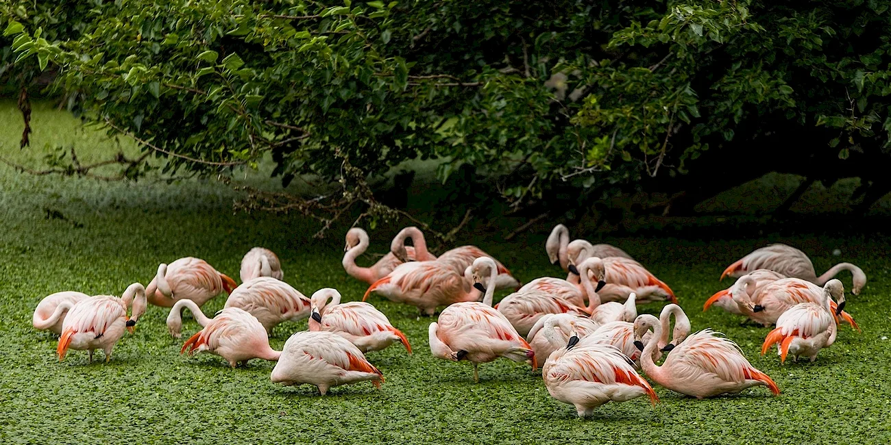 ECOPARQUE — 028