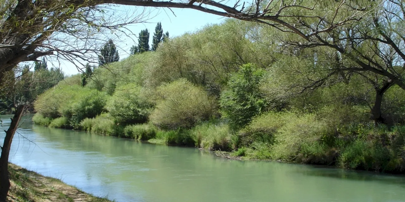 GAIMAN — 59 riochubut
