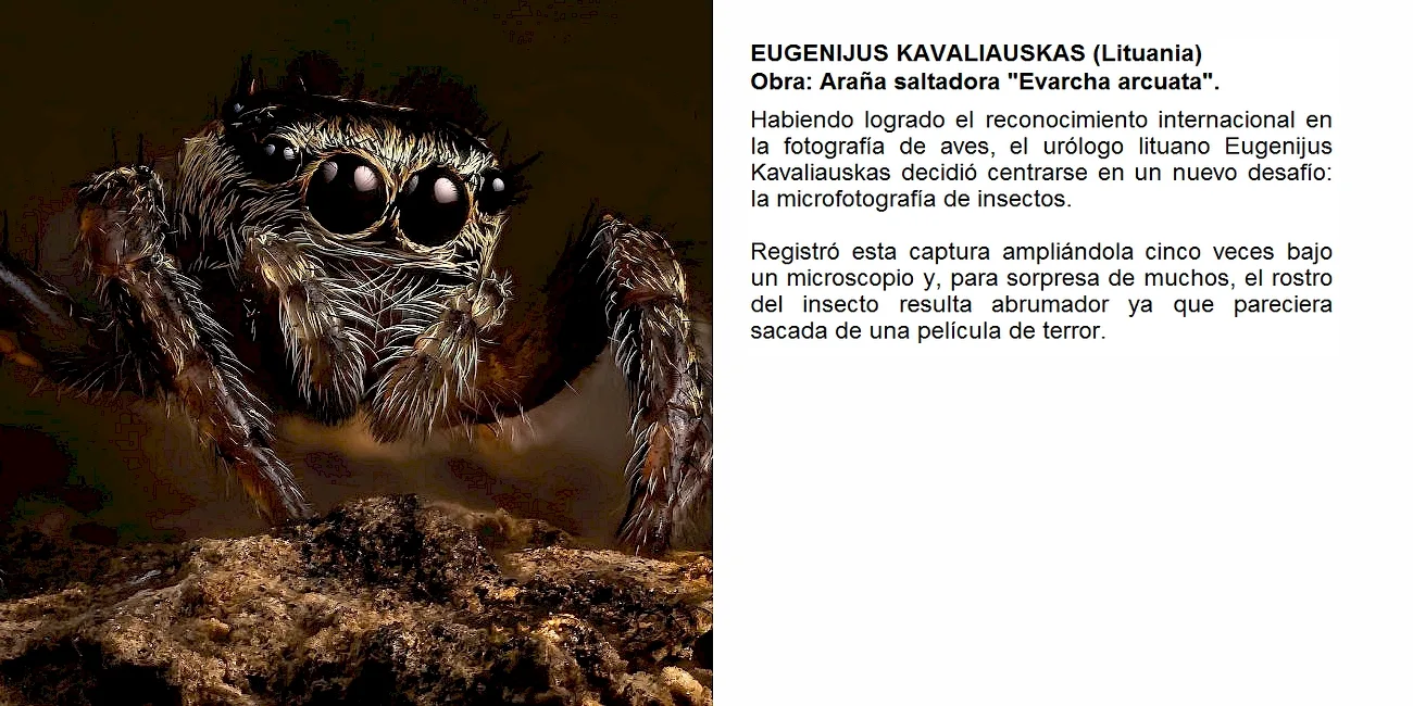 HALLOWEEN — terror/12 EugenijusKavaliauskas