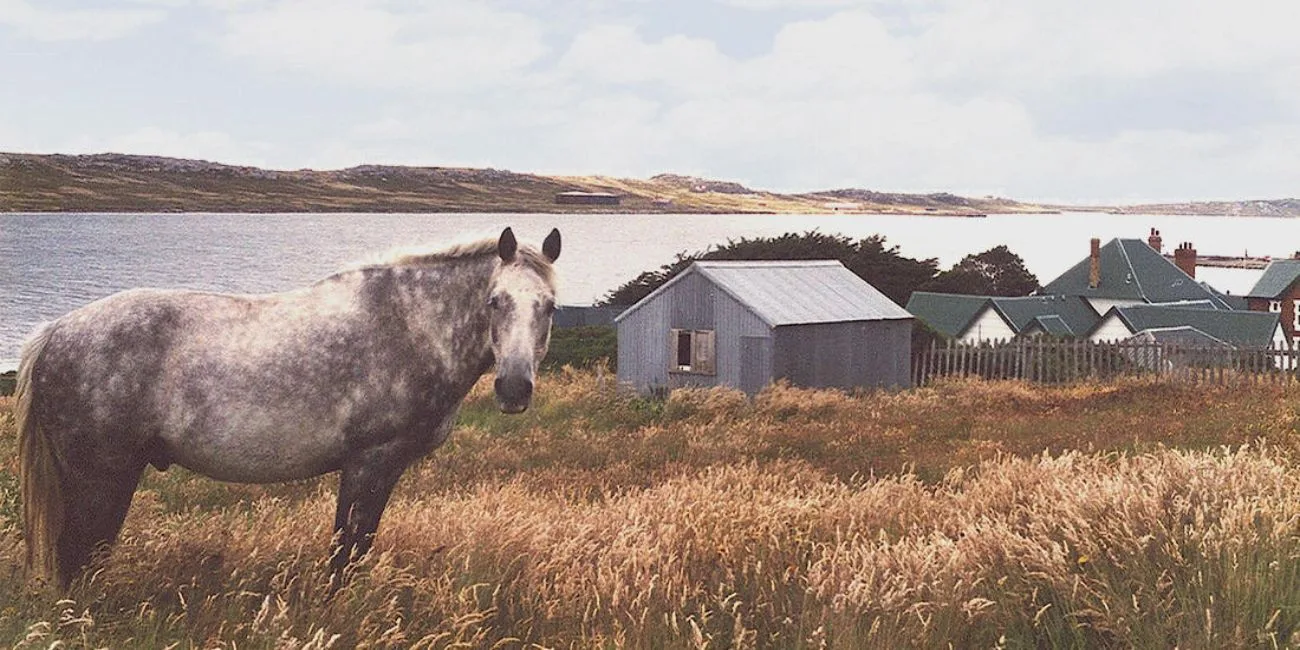 ISLAS MALVINAS — 08