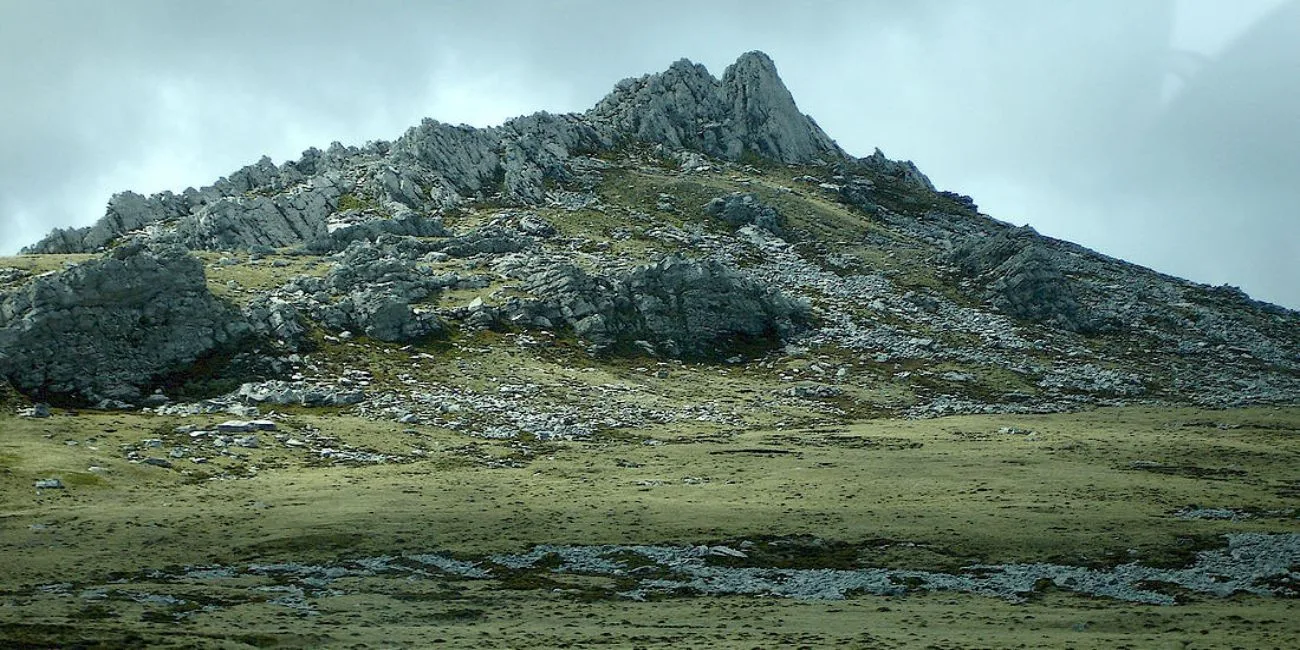 ISLAS MALVINAS — 65