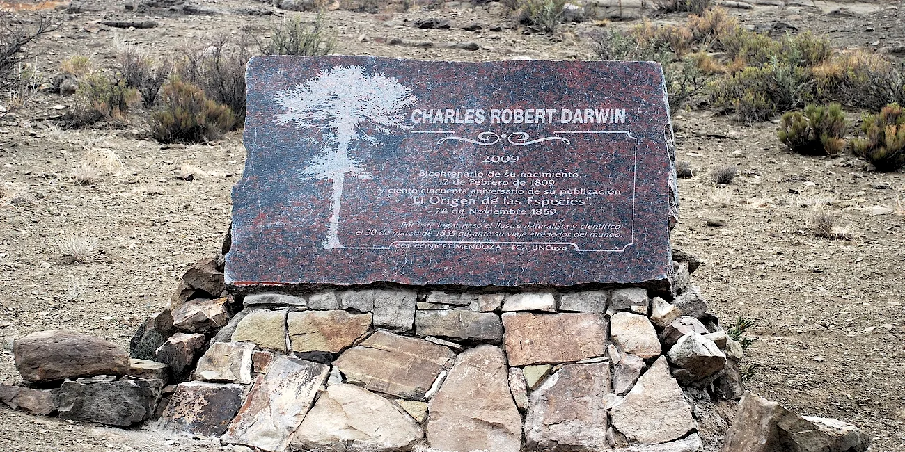 MENDOZA — 30 CharlesDarwin Uspallata