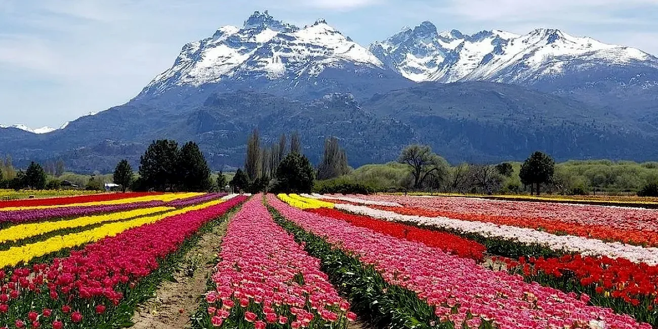 PATAGONIA AUSTRAL — 34