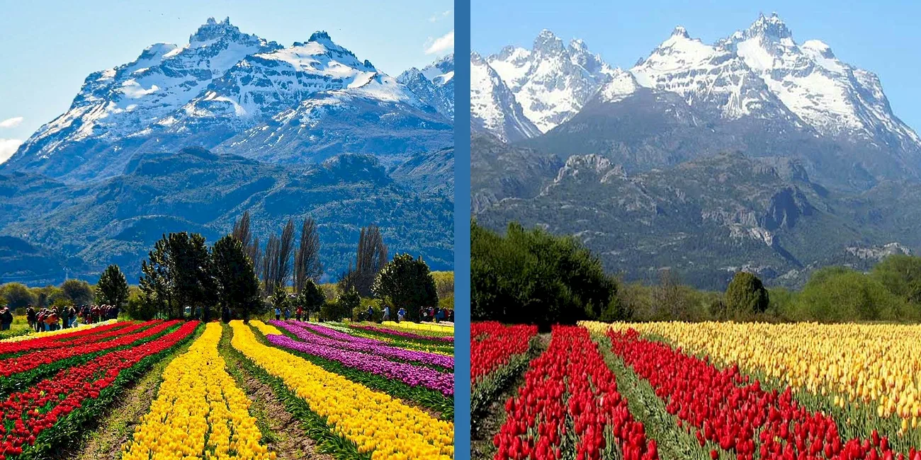 PATAGONIA AUSTRAL — 36