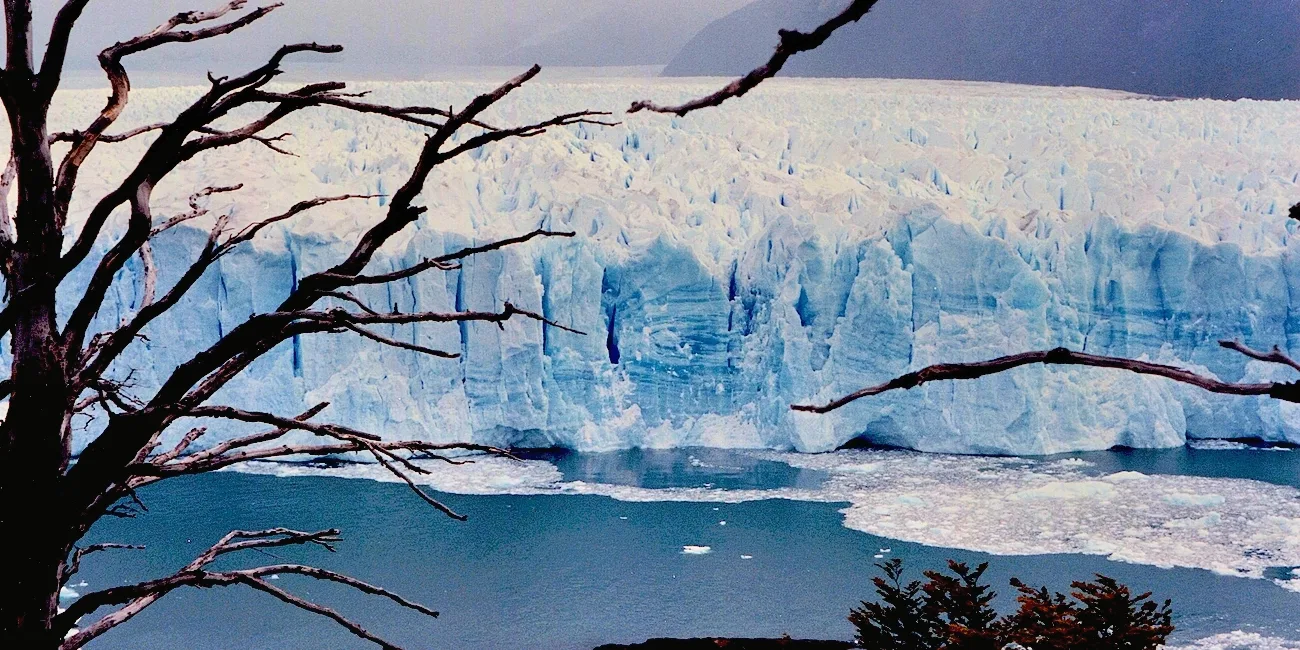 PATAGONIA AUSTRAL — 78