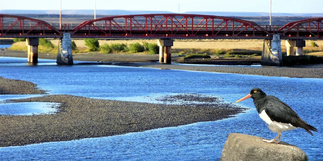 PATAGONIA AUSTRAL — 84 PuenteGuerAike