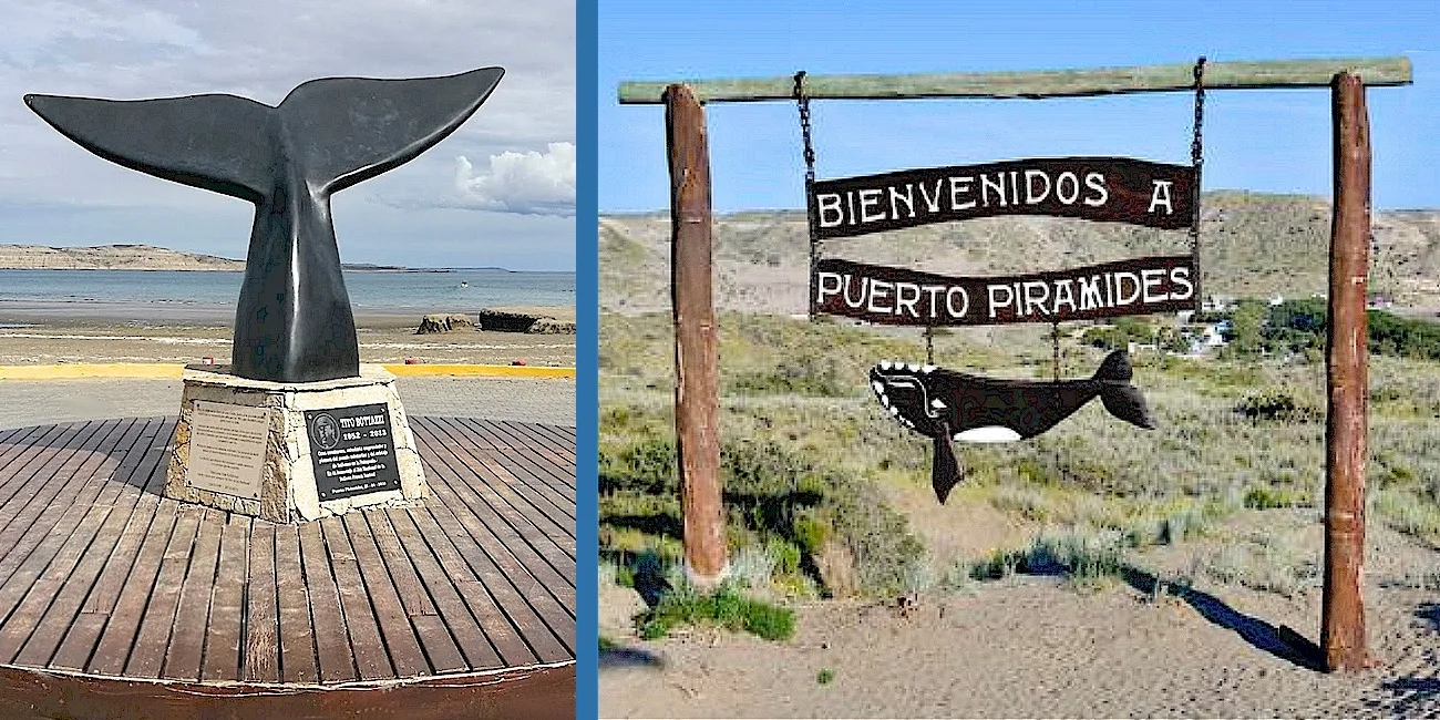 PENÍNSULA VALDÉS — 16 PuertoPiramides