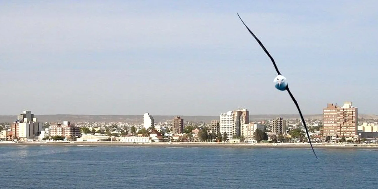 PUERTO MADRYN — 25