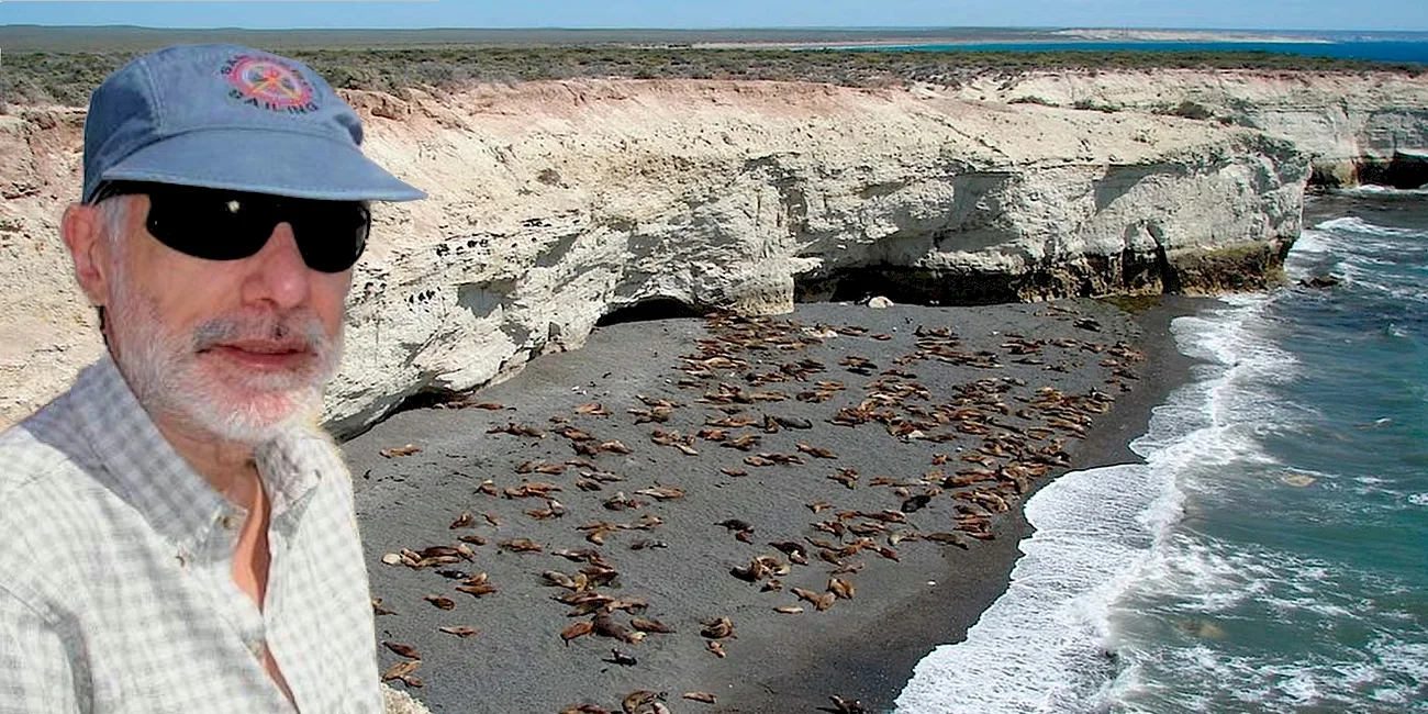 PUERTO MADRYN — 26 LoberiaPuntaLoma
