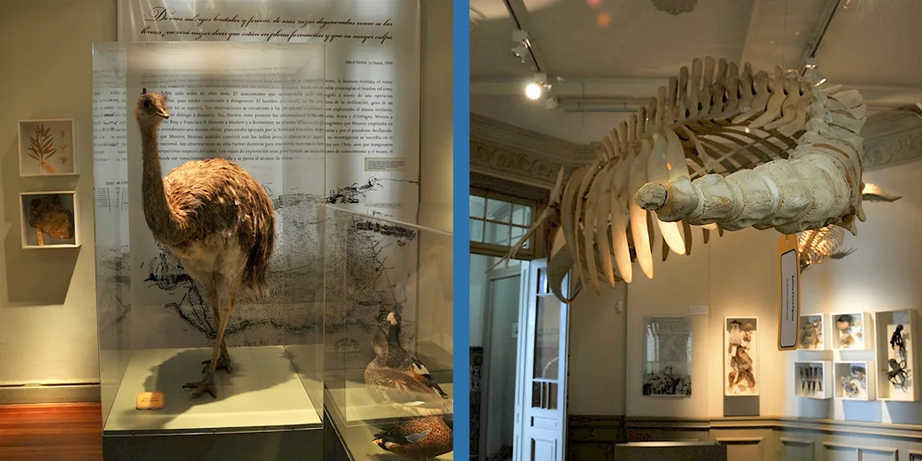 PUERTO MADRYN — 38 MuseoMar