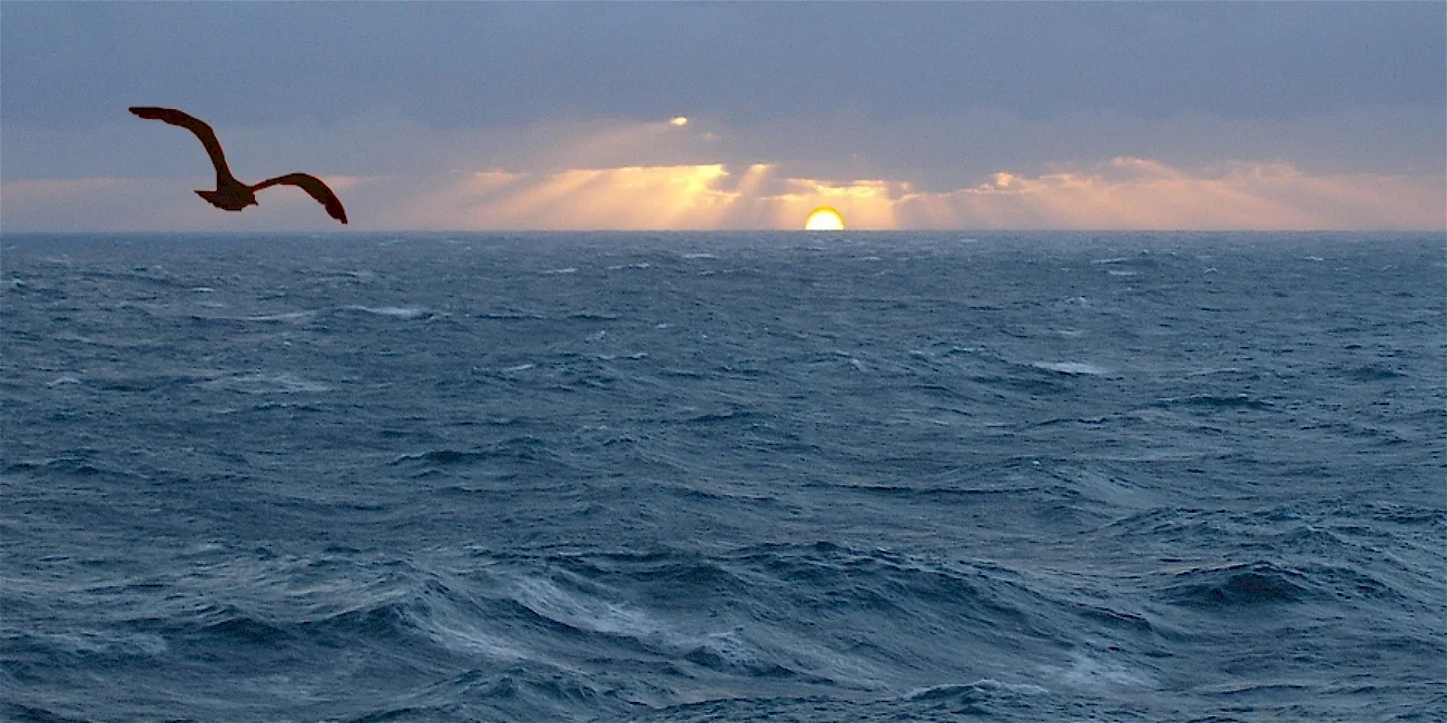 PUERTO MADRYN — 42