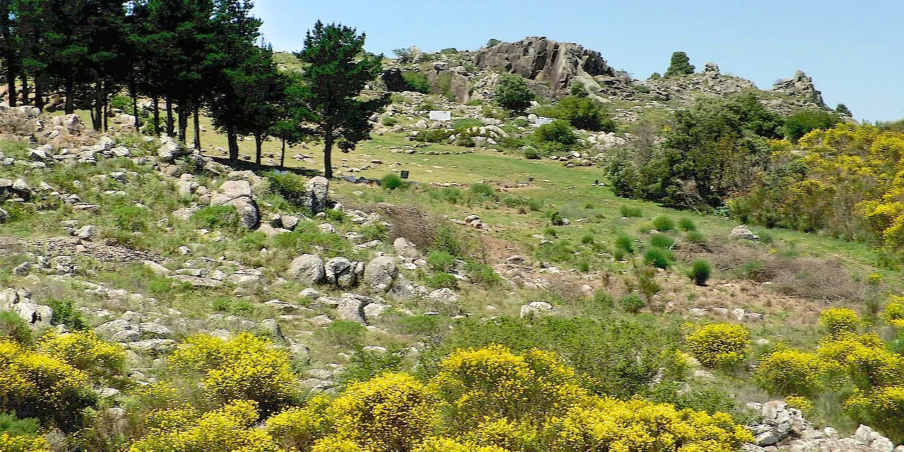 TANDIL — 36