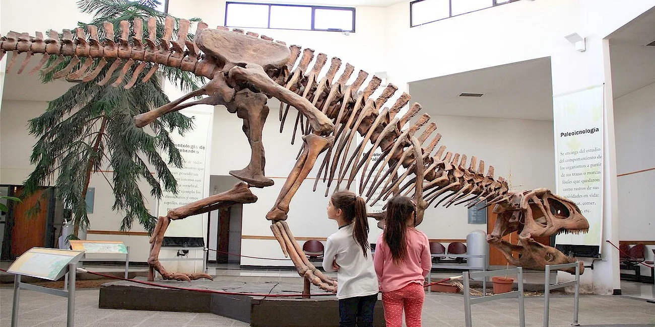 TRELEW — 19 MuseoPaleo