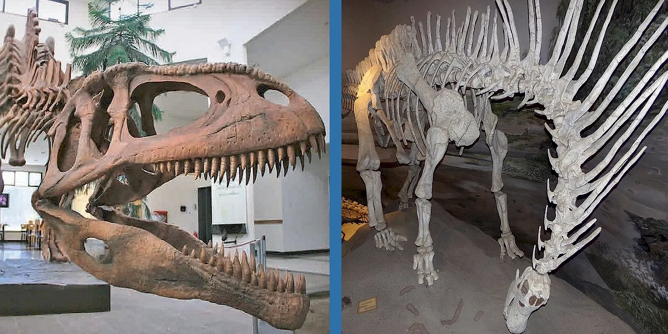 TRELEW — 20 MuseoPaleo