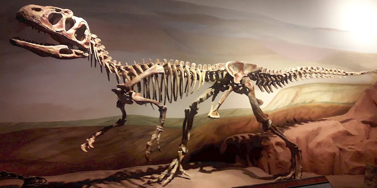 TRELEW — 21 MuseoPaleo