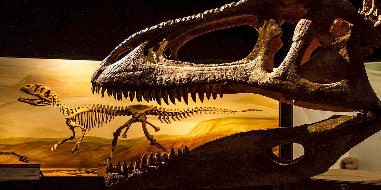 TRELEW — 22 MuseoPaleo