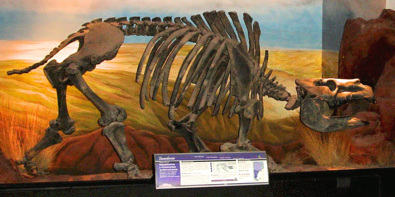 TRELEW — 25 MuseoPaleo