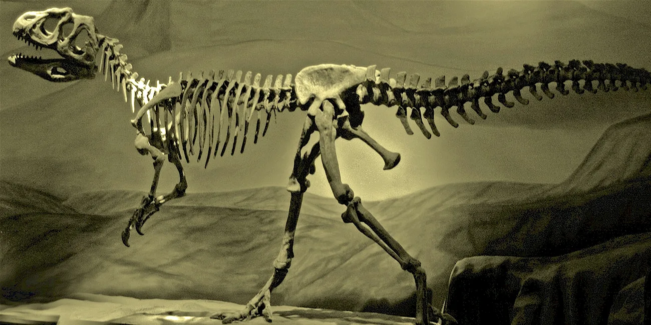 TRELEW — 27 MuseoPaleo