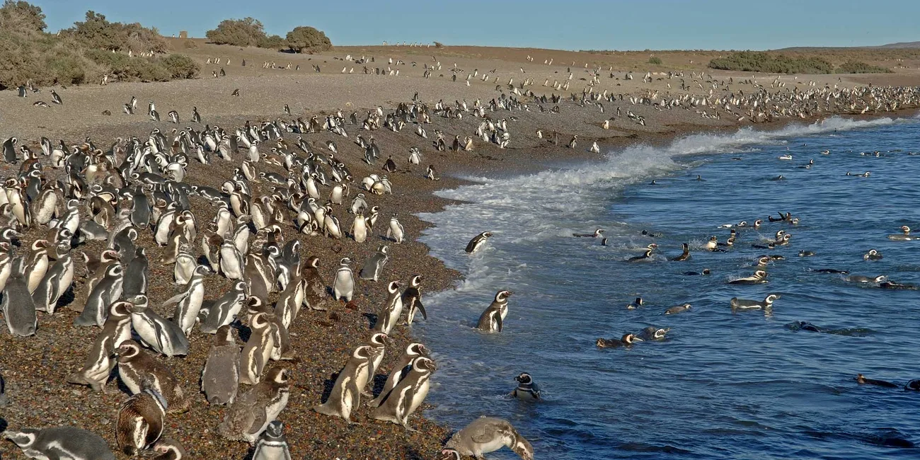 TRELEW — 34