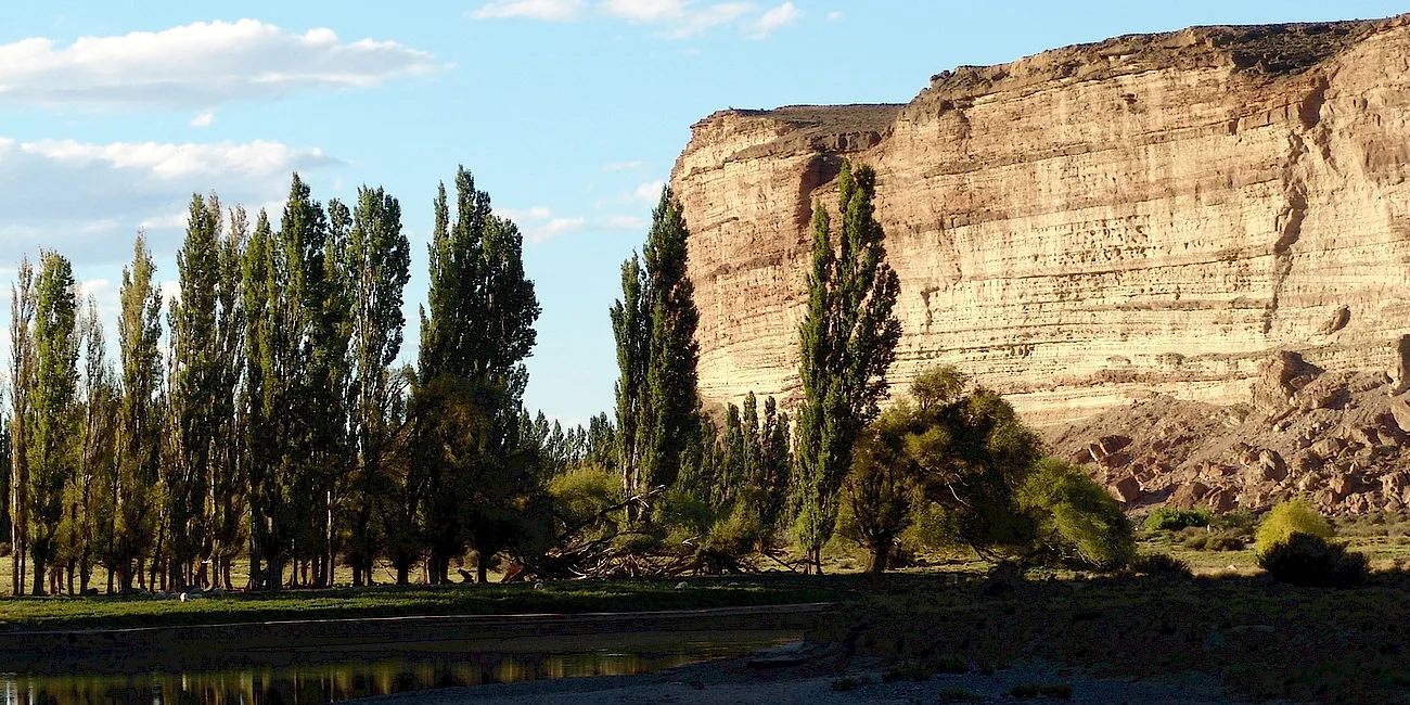 TRELEW — 43