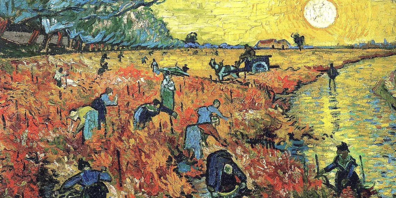 VAN GOGH — 13 VinedoRojo