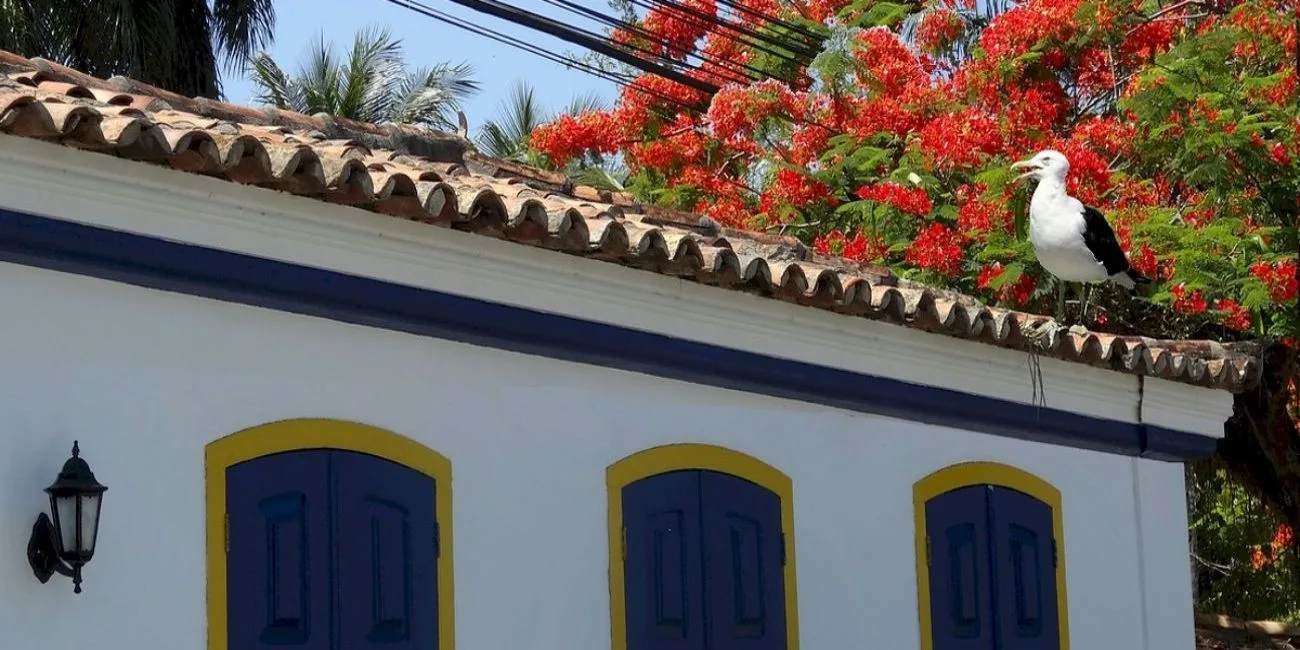 BÚZIOS Y PARATÍ — 06