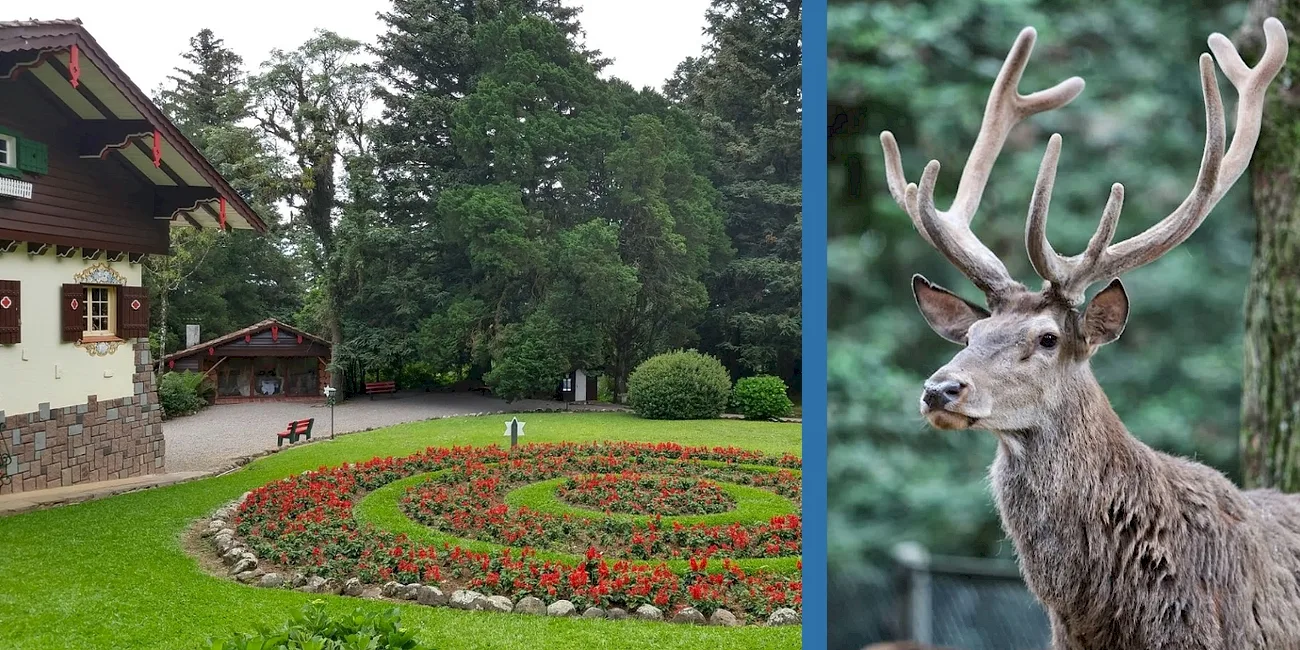 PORTO ALEGRE Y GRAMADO — 32 parque knorr1