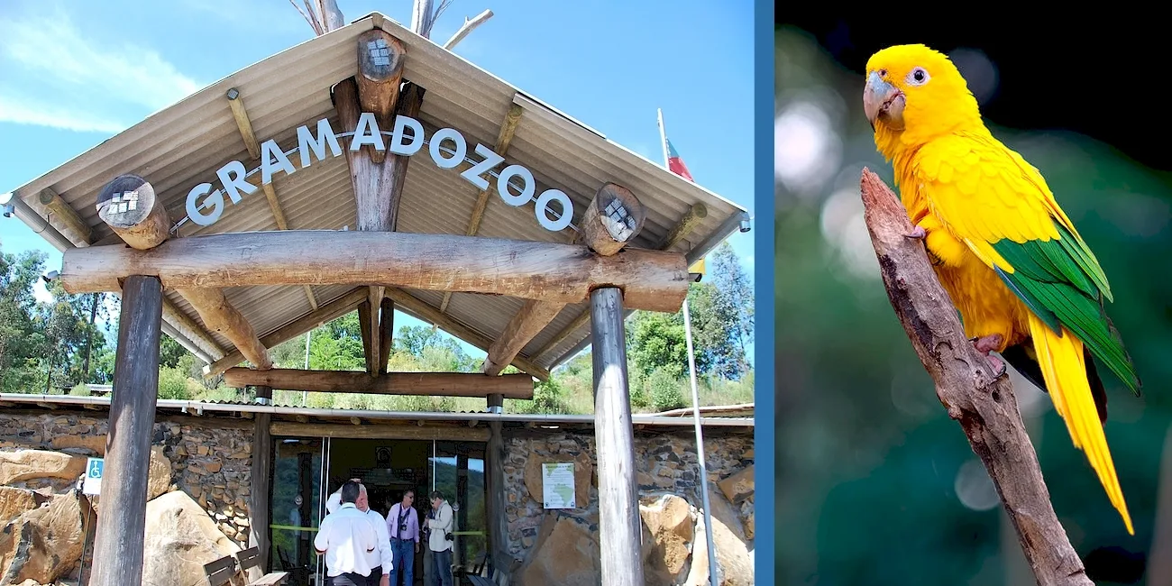 PORTO ALEGRE Y GRAMADO — 41 Gramado Zoo1 GuarubaGolden