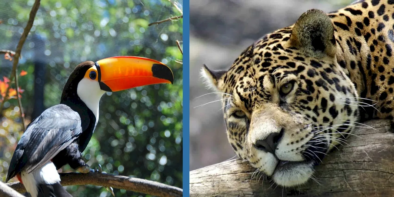 PORTO ALEGRE Y GRAMADO — 42 Gramado Zoo2