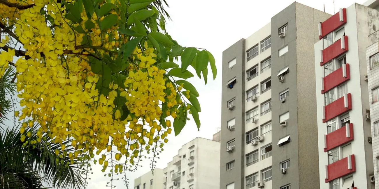 TRES CIUDADES BRASILEÑAS — 16
