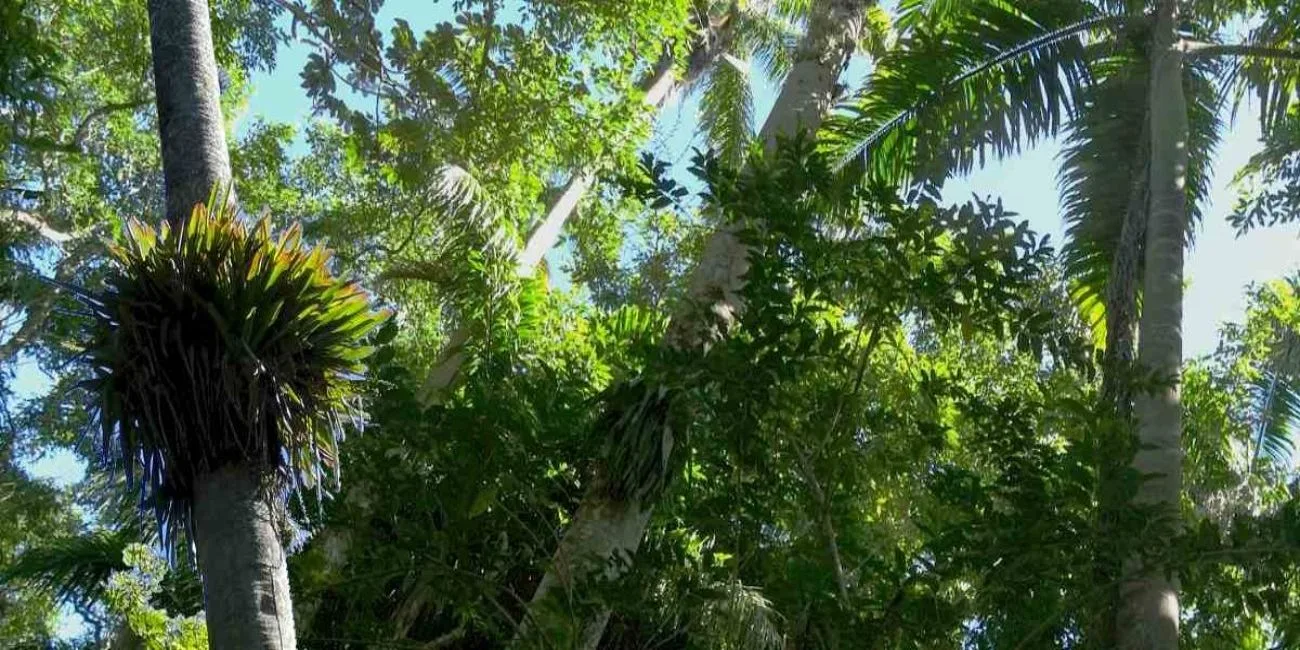 ILHA GRANDE E ILHABELA — 16