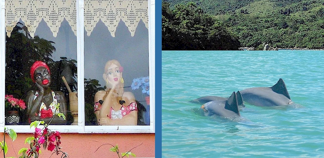 BLUMENAU Y CAMBORIÚ — 01 mironas delfines