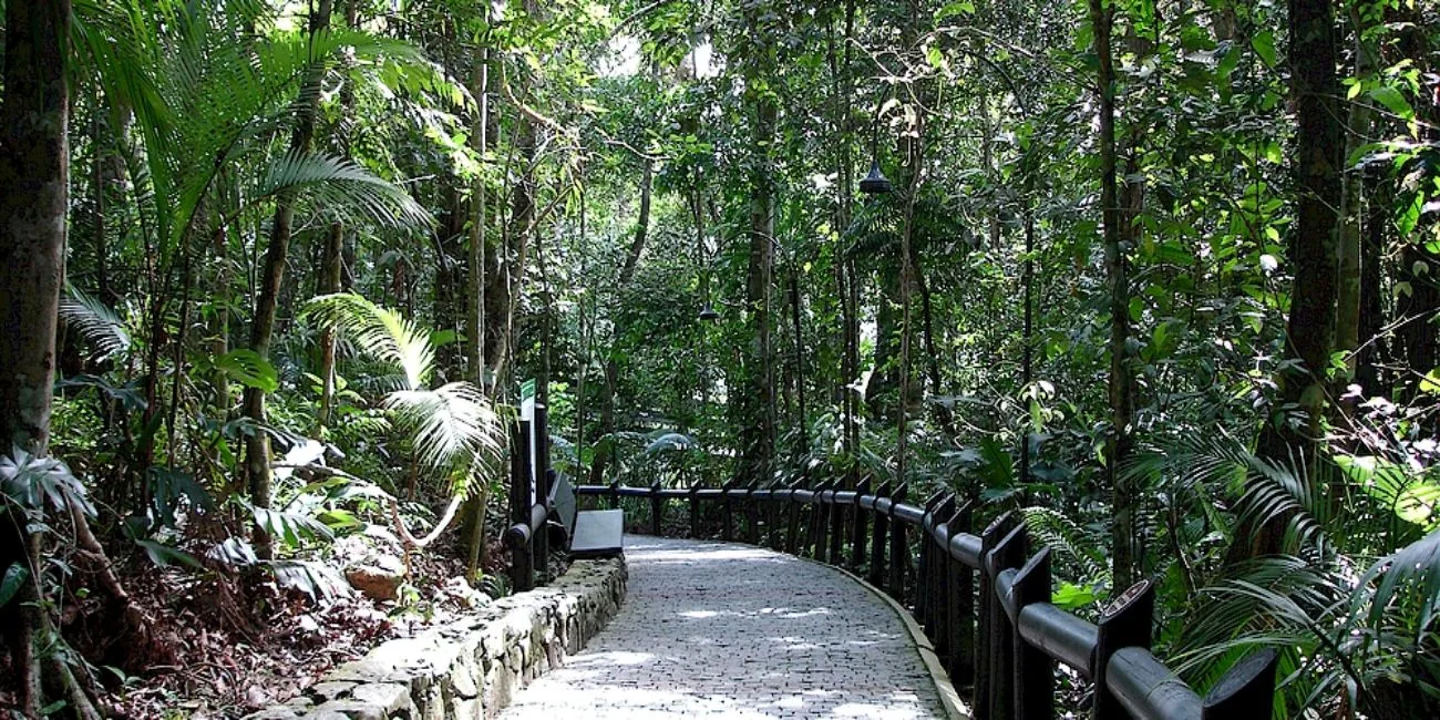 BLUMENAU Y CAMBORIÚ — 25